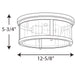 Progress Lighting Gunther Collection 12-5/8 Inch Flush Mount (P550021-020)