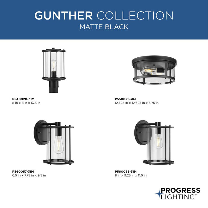 Progress Lighting Gunther Collection 75W One-Light Wall Lantern Matte Black (P560057-31M)