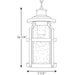 Progress Lighting Haslett Collection One-Light Hanging Lantern (P550031-031)