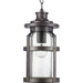 Progress Lighting Haslett Collection One-Light Hanging Lantern (P550031-103)