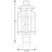 Progress Lighting Haslett Collection One-Light Post Lantern (P540031-103)