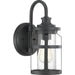 Progress Lighting Haslett Collection One-Light Small Wall Lantern (P560094-031)
