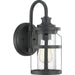 Progress Lighting Haslett Collection One-Light Small Wall Lantern (P560094-031)