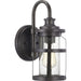 Progress Lighting Haslett Collection One-Light Small Wall Lantern (P560094-103)