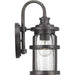 Progress Lighting Haslett Collection One-Light Small Wall Lantern (P560094-103)