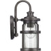 Progress Lighting Haslett Collection One-Light Small Wall Lantern (P560094-103)