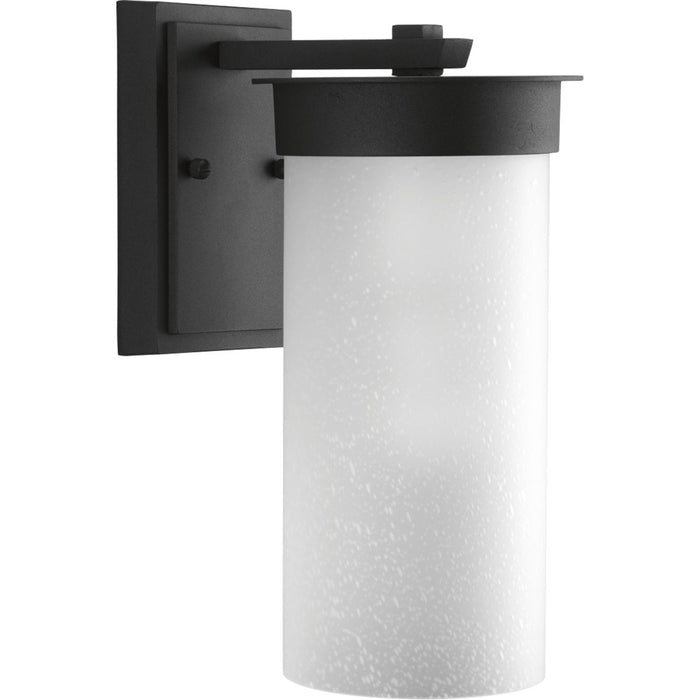 Progress Lighting Hawthorne Collection One-Light Medium Wall Lantern (P5625-31)