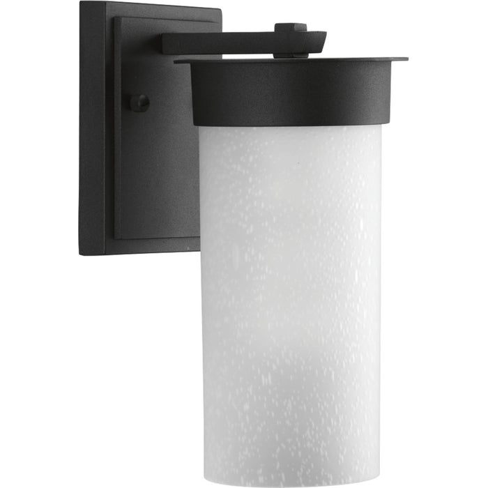 Progress Lighting Hawthorne Collection One-Light Small Wall Lantern (P5624-31)