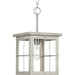 Progress Lighting Hedgerow Collection 1 Light 60W Medium Base Mini-Pendant Fixture (P500317-009)