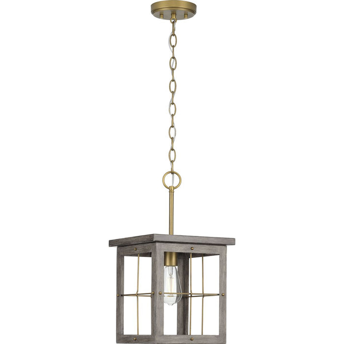 Progress Lighting Hedgerow Collection 1 Light 60W Medium Base Mini-Pendant Fixture (P500317-175)