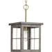 Progress Lighting Hedgerow Collection 1 Light 60W Medium Base Mini-Pendant Fixture (P500317-175)
