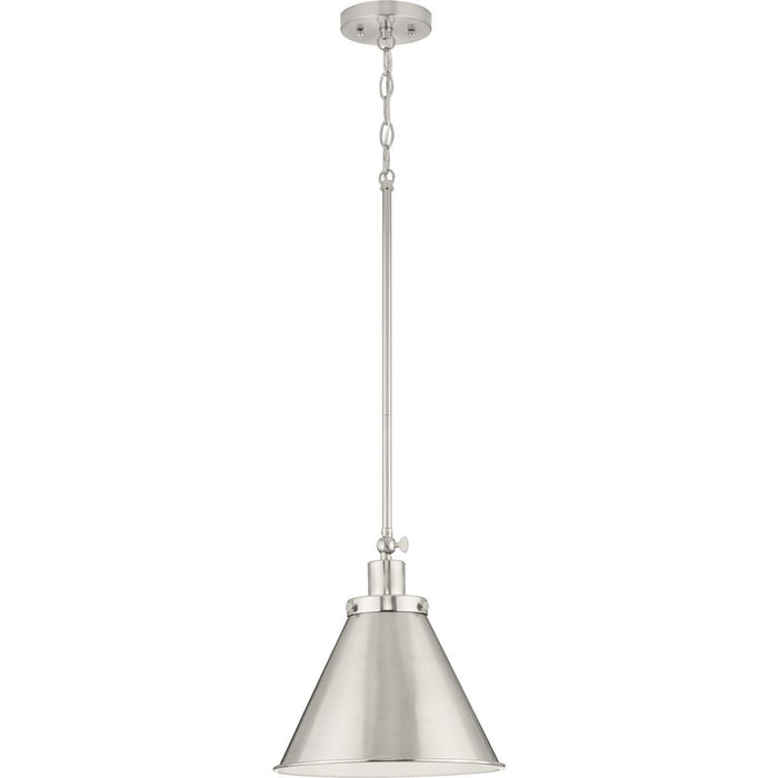 Progress Lighting Hinton Collection 1 Light 100W Medium Base Pendant Fixture (P500325-009)