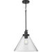 Progress Lighting Hinton Collection 100W One-Light Large Pendant Glass Matte Black (P500384-31M)