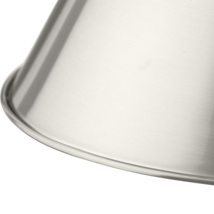 Progress Lighting Hinton Collection 100W One-Light Large Pendant Metal Brushed Nickel (P500385-009)