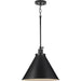 Progress Lighting Hinton Collection 100W One-Light Large Pendant Metal Matte Black (P500385-31M)