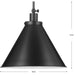 Progress Lighting Hinton Collection 100W One-Light Large Pendant Metal Matte Black (P500385-31M)