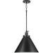 Progress Lighting Hinton Collection 100W One-Light Large Pendant Metal Matte Black (P500385-31M)