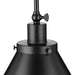 Progress Lighting Hinton Collection 100W One-Light Large Pendant Metal Matte Black (P500385-31M)