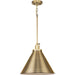 Progress Lighting Hinton Collection 100W One-Light Large Pendant Metal Vintage Brass (P500385-163)