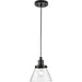 Progress Lighting Hinton Collection 60W One-Light Mini Pendant Glass Matte Black (P500382-31M)