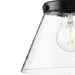 Progress Lighting Hinton Collection 60W One-Light Mini Pendant Glass Matte Black (P500382-31M)