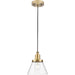 Progress Lighting Hinton Collection 60W One-Light Mini Pendant Glass Vintage Brass (P500382-163)