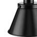 Progress Lighting Hinton Collection 60W One-Light Mini Pendant Metal Matte Black (P500383-31M)