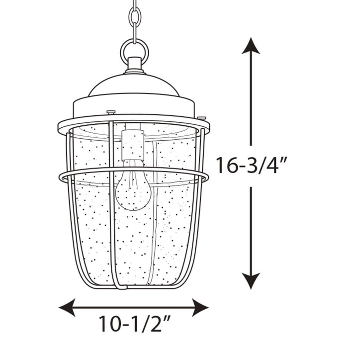 Progress Lighting Holcombe Collection Hanging Lantern (P550025-031)