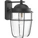 Progress Lighting Holcombe Large Wall Lantern (P560067-031)