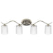 Progress Lighting Inspire Collection Four-Light Bath And Vanity (P2021-09)