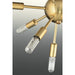 Progress Lighting Ion Collection Sixteen-Light Chandelier (P400041-109)