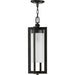 Progress Lighting Janssen Collection Oil Rubbed Bronze One-Light Hanging Lantern (P550044-108)