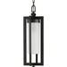 Progress Lighting Janssen Collection Oil Rubbed Bronze One-Light Hanging Lantern (P550044-108)