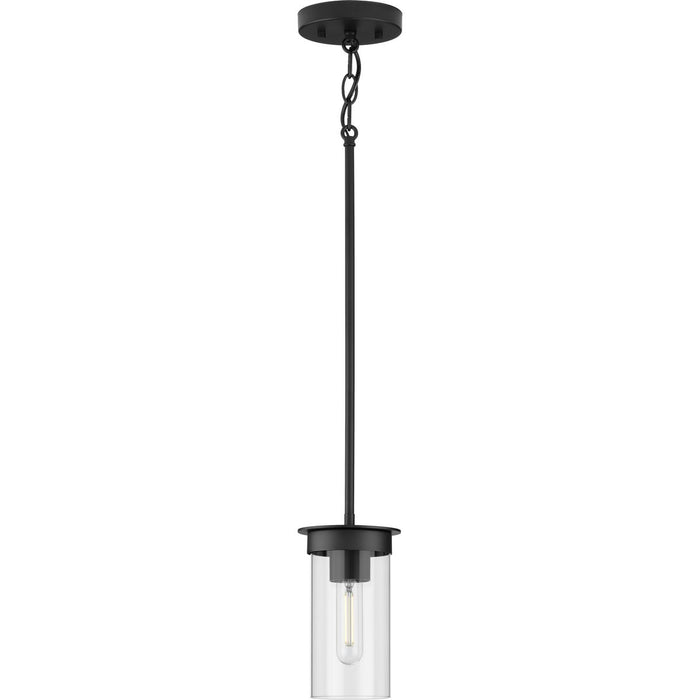 Progress Lighting Kellwyn Collection 1 Light 60W Medium Base Mini-Pendant Fixture (P500314-031)