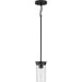 Progress Lighting Kellwyn Collection 1 Light 60W Medium Base Mini-Pendant Fixture (P500314-031)