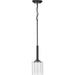 Progress Lighting Kene Collection Graphite One-Light Mini-Pendant (P500103-143)