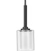 Progress Lighting Kene Collection Graphite One-Light Mini-Pendant (P500103-143)