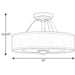 Progress Lighting Kene Collection Graphite Two-Light Semi-Flush Convertible (P350098-143)