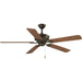 Progress Lighting Lakehurst Collection 60 Inch Indoor/Outdoor Five-Blade Ceiling Fan (P2562-20)