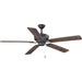 Progress Lighting Lakehurst Collection 60 Inch Indoor/Outdoor Five-Blade Ceiling Fan (P2562-80)