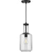 Progress Lighting Latrobe Collection Black One-Light Pendant (P500229-031)