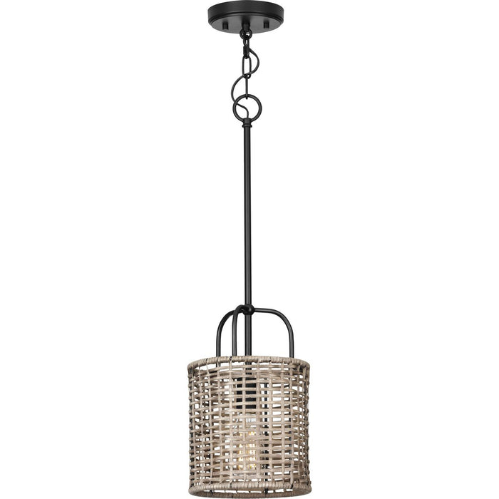 Progress Lighting Lavelle Collection 1 Light 60W Medium Base Mini-Pendant Fixture (P500307-031)