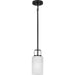 Progress Lighting League Collection 1 Light 100W Medium Base Mini-Pendant Fixture (P500341-31M)