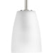 Progress Lighting Leap Collection One-Light Mini-Pendant (P500029-009)