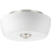 Progress Lighting Leap Collection Two-Light 14 Inch Flush Mount (P350061-009)