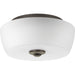 Progress Lighting Leap Collection Two-Light 14 Inch Flush Mount (P350061-020)