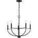 Progress Lighting Leyden Collection 5 Light 60W Candelabra Base Chandelier (P400202-031)