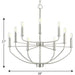Progress Lighting Leyden Collection 9 Light 60W Candelabra Base Chandelier (P400228-009)