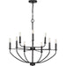 Progress Lighting Leyden Collection 9 Light 60W Candelabra Base Chandelier (P400228-031)