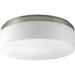 Progress Lighting Maier Collection 14 Inch LED Flush Mount 3000K (P350077-009-30)